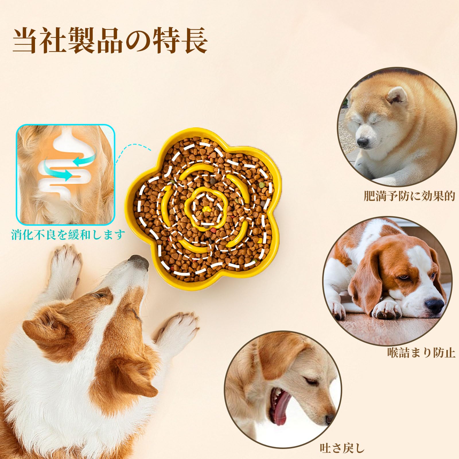 未使用　ペット用スローフィーダー セラミックと防水ボウルセット Amazon | 【早食い防止】 ペット用セラミックスローフィーダー